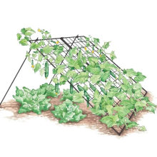 Metal Wire Trellis Vegetables Supporting Trellis Foldable